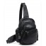 black Back pack purse