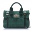 green Cowhide handbag and purse
